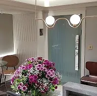 Empty image