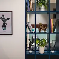 Empty image