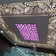 Empty image