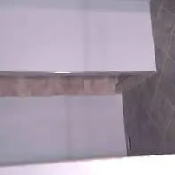 Empty image