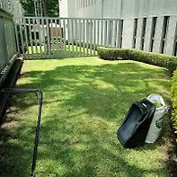 Empty image