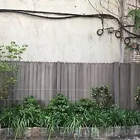 Empty image