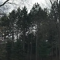 Empty image