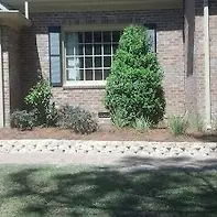 Empty image