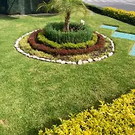 Empty image