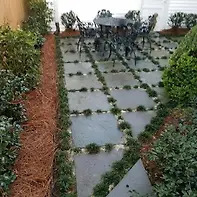 Empty image