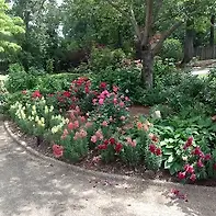 Empty image
