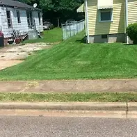 Empty image