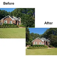 Empty image
