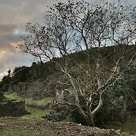 Empty image