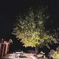 Empty image