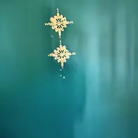 Empty image