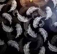 Empty image