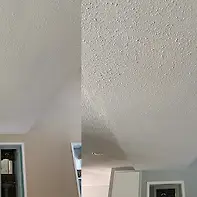 Empty image