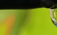 Empty image