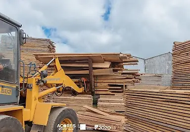 Carlos Sebastião & Filhos, Lda