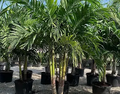 One Stop Landscape Supply