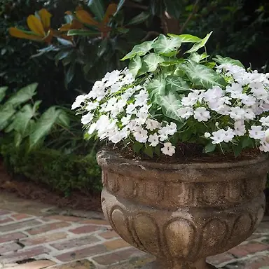 The Garden Gates Landscape Company LLC