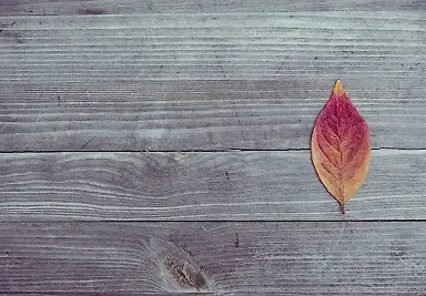 Carpintería y Ebanistería Leins
