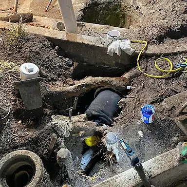 Bayshore Plumbers