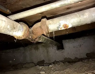 Lucky rooter & Plumbing