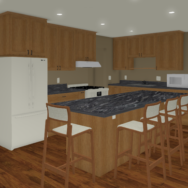 Kitchen Remodel