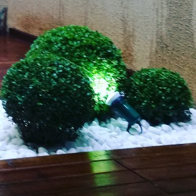 jardim 
