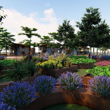 Paisagismo - Ecovila Atman