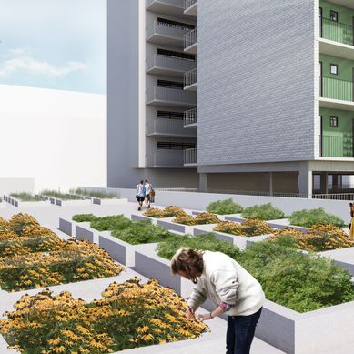Horta urbana para Habitação de Interesse Social