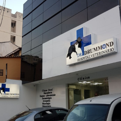Clínica Veterinária 24h