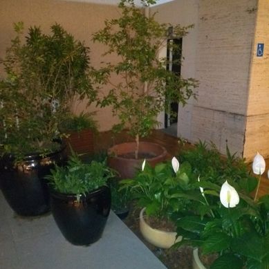 Jardim em vasos
