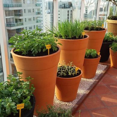 Horta em varanda