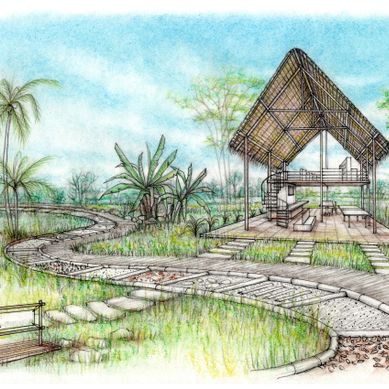 Landscaping and outdoor school