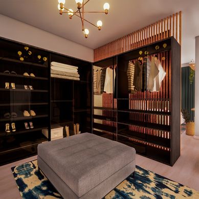 Super Closet Politizado