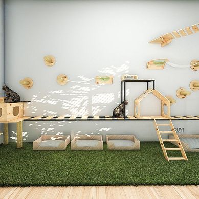 Quarto de gatos