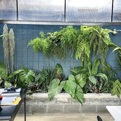 Jardineira para escritório