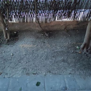 Jardín Vera