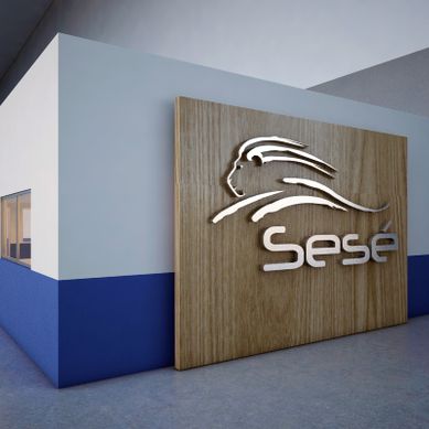 OFICINAS EJECUTIVAS GRUPO SÉSE
