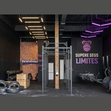 Crossfit Monkey