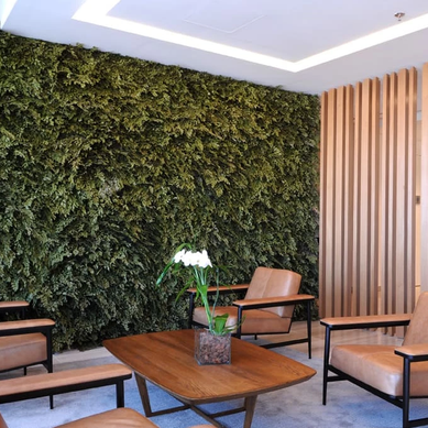 JARDIM VERTICAL PRESERVADO