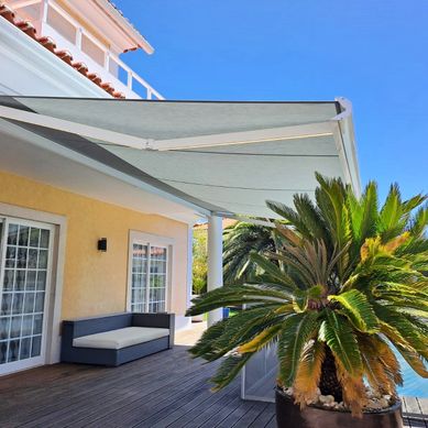 Toldo