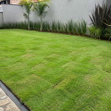 Projeto com Grama Esmeralda: Jardim Residencial com Gramado Recém-Implantado