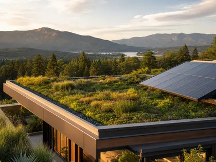 Roof Trends Shaping the Home Above You