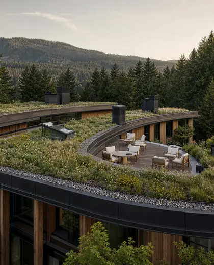 sustainable hotel — roof (forest)