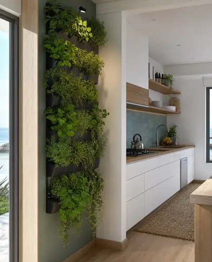 contemporary vertical garden — small kitchen (coastal)