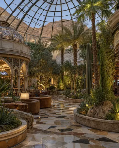 eclectic casino — winter garden (desert)