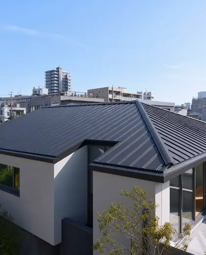 minimalist house — roof (urban)